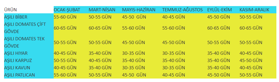 antalya aşılı fide