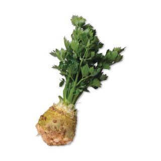 kereviz